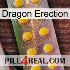 Dragon Erection new11